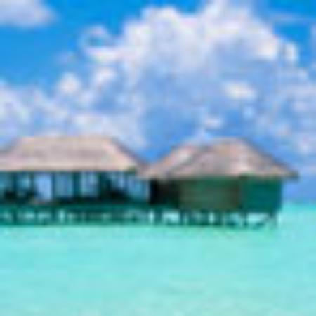 Bindass Bawarchi Restaurant